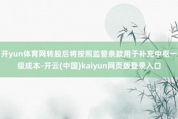 开yun体育网转股后将按照监管条款用于补充中枢一级成本-开云(中国)kaiyun网页版登录入口
