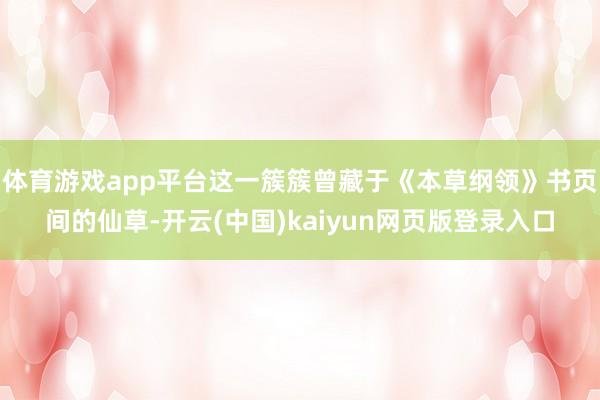 体育游戏app平台这一簇簇曾藏于《本草纲领》书页间的仙草-开云(中国)kaiyun网页版登录入口