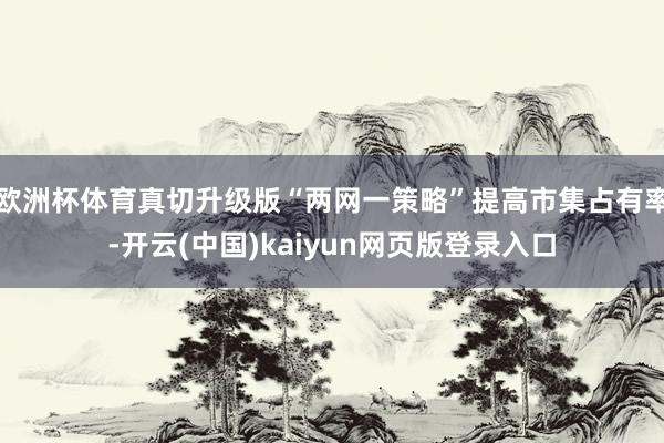欧洲杯体育真切升级版“两网一策略”提高市集占有率-开云(中国)kaiyun网页版登录入口