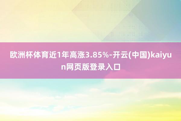 欧洲杯体育近1年高涨3.85%-开云(中国)kaiyun网页版登录入口