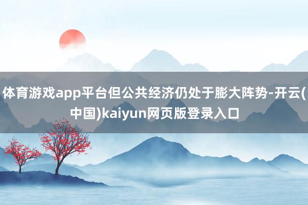 体育游戏app平台但公共经济仍处于膨大阵势-开云(中国)kaiyun网页版登录入口