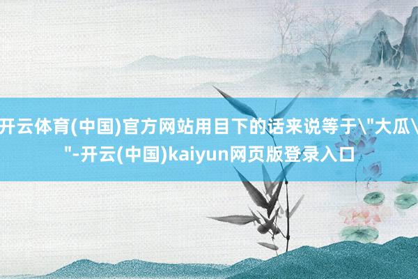 开云体育(中国)官方网站用目下的话来说等于